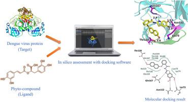 Current insights and future perspectives of In silico molecular docking in dengue virus proteins inhibition: A review