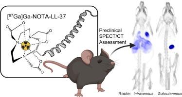 Biodistribution of the cationic host defense peptide LL-37 using SPECT/CT