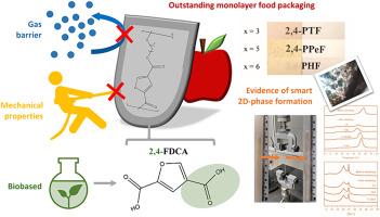 Poly(alkylene 2,4-furanoate)s: The potential of structural isomerism for outstanding sustainable food packaging and unexpected evidence of self-healing microstructure