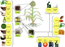 Sorghum's potential unleashed: A comprehensive exploration of bio-energy production strategies and innovations