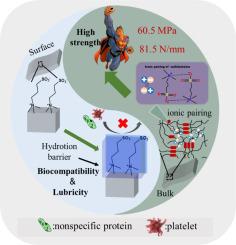 Zwitterionic modification: A strategy to enhance the mechanical properties, lubricity and hemo- and biocompatibility of silicone poly(carbonate urethane urea)