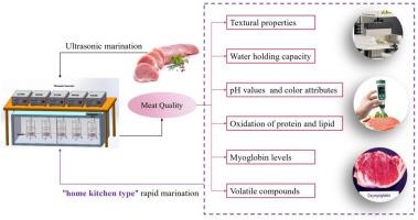 Evaluation of low-temperature ultrasonic marination of pork meat at various frequencies on physicochemical properties, myoglobin levels, and volatile compounds