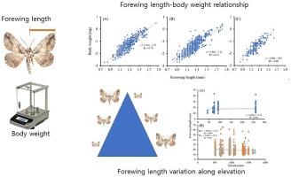 Length-weight relationships of moths along the elevational gradient of three mountains across southern South Korea