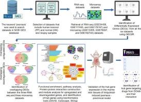 An integrated bioinformatics approach for unravelling the molecular insights into psoriasis pathology and therapeutics