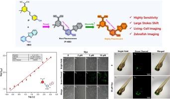 Dicyanisophorone-based viscosity fluorescent probe and its fluorescence imaging in cells and zebrafish