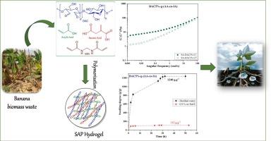 Preparation of superabsorbent composite(s) based on dialdehyde cellulose extracted from banana fiber waste