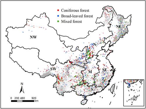 Prioritizing Forestation in China Through Incorporating Biogeochemical and Local Biogeophysical Effects