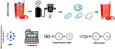 Dense phase carbon dioxide (DPCD) inactivation of microorganisms and enzymes, and its application in food: A review