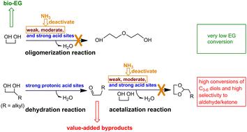 Controllable transformation of biomass-derived diols over an ammonia-modified H-Beta zeolite†