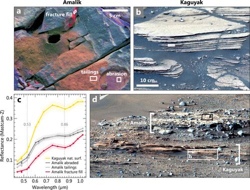 Variable Iron Mineralogy and Redox Conditions Recorded in Ancient Rocks Measured by In Situ Visible/Near-Infrared Spectroscopy at Jezero Crater, Mars