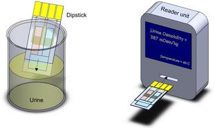 Urine osmolality assessment through the integration of urea hydrolysis and impedance measurement†