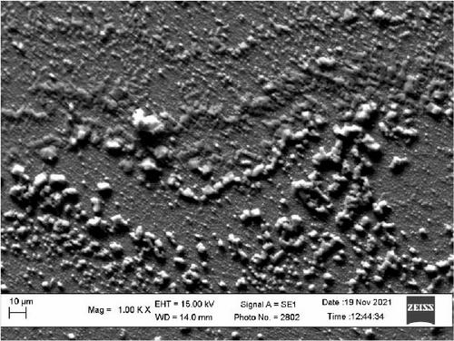 Zeolite-Based Anti-corrosion Pigments for Polymer Coatings: A Brief Review