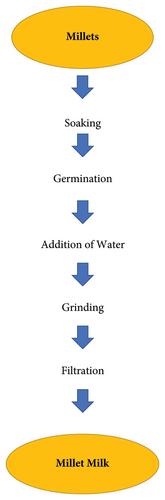 Millet Milk: A Potential Cattle Milk Alternative—Extraction and Value Addition