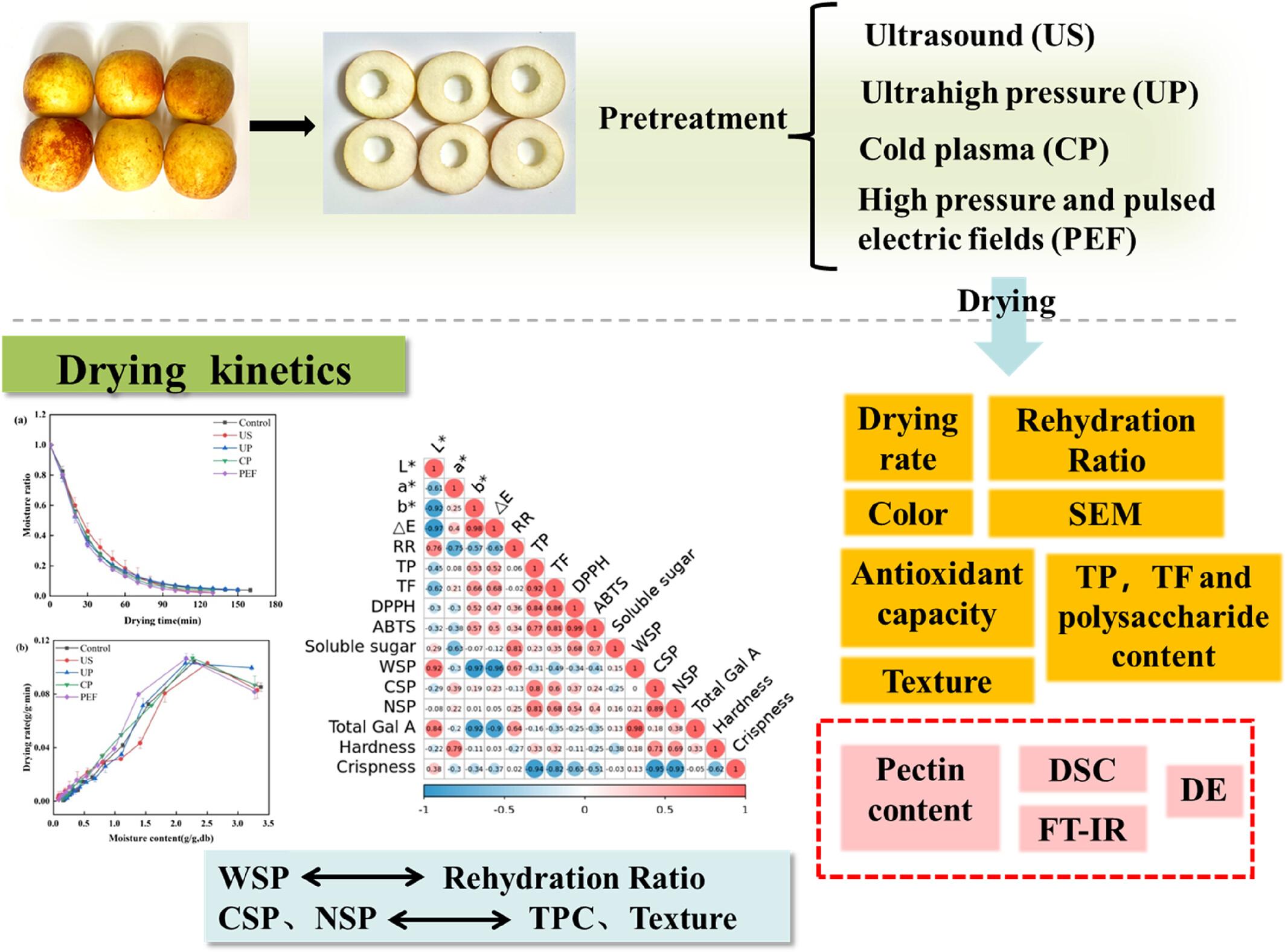 Effects of different pretreatment on the drying characteristics and pectin properties of jujube by microwave coupled with pulsed vacuum drying