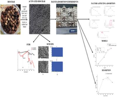 Removal of Chromium from Aqueous Solution Using Ziziphus jujuba Seed-Activated Biochar