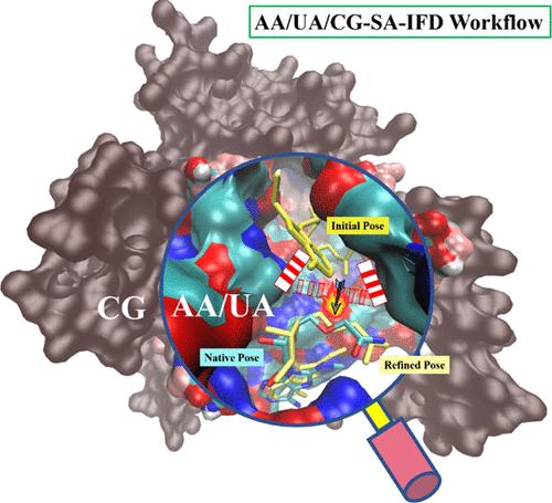 A Robust Induced Fit Docking Approach with the Combination of the Hybrid All-Atom/United-Atom/Coarse-Grained Model and Simulated Annealing