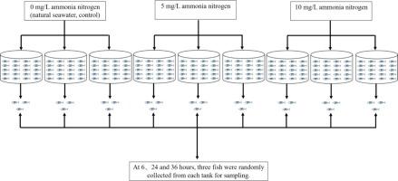 The effects of acute ammonia stress on liver antioxidant, immune and metabolic responses of juvenile yellowfin tuna (Thunnus albacares)