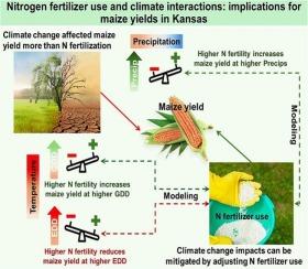 Nitrogen fertilizer use and climate interactions: Implications for maize yields in Kansas