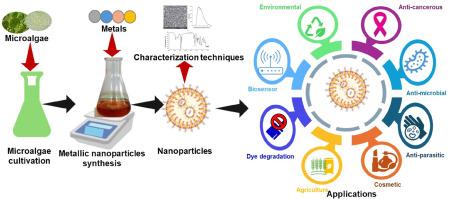 Bio fabrication of microalgae mediated nanoparticles: An insight into its mechanism, characterization and applications