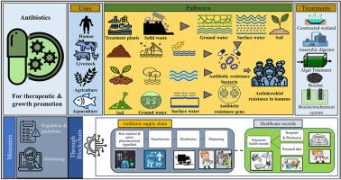 Emergence of antibiotic resistance due to the excessive use of antibiotics in medicines and feed additives: A global scenario with emphasis on the Indian perspective