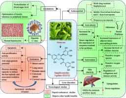 Phytochemistry and anticancer therapeutics of Camellia sinensis (Green tea)