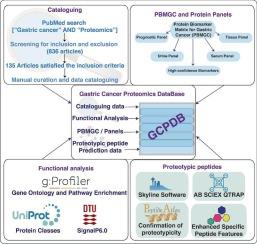 Delineating protein biomarkers for gastric cancers: A catalogue of mass spectrometry-based markers and assessment of their suitability for targeted proteomics applications