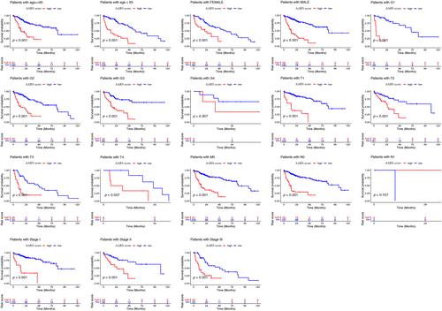 A Novel Amino Acid-Related Gene Signature Predicts Overall Survival in Patients With Hepatocellular Carcinoma