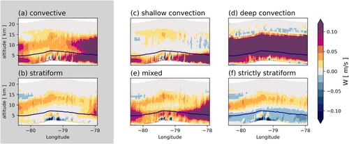 Stable Water Isotope Signals and Their Relation to Stratiform and Convective Precipitation in the Tropical Andes