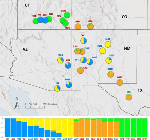 Evidence for human-caused founder effect in populations of Solanum jamesii at archaeological sites: II. Genetic sequencing establishes ancient transport across the Southwest USA