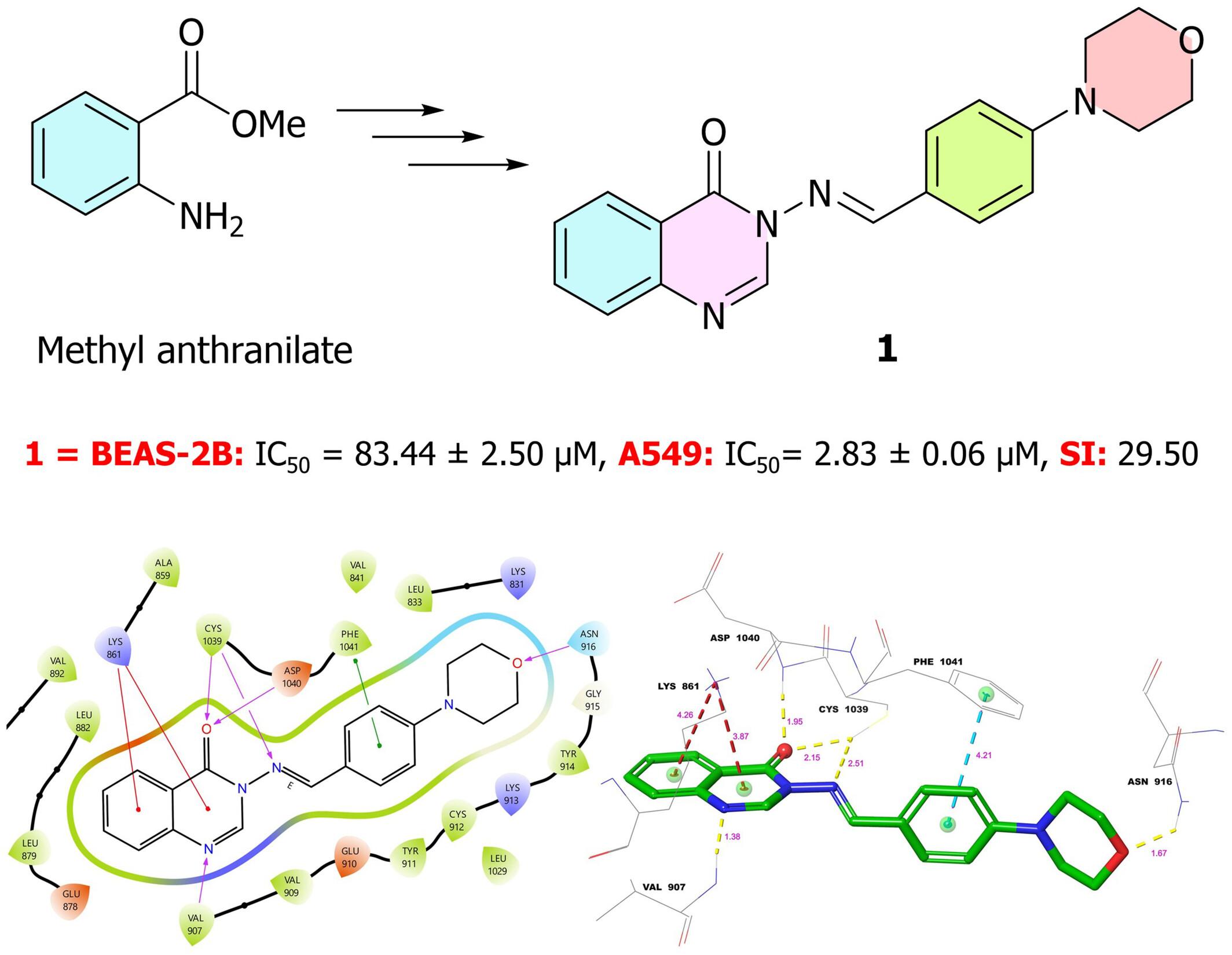 A series of quinazolin-4(3H)-one-morpholine hybrids as anti-lung-cancer agents: Synthesis, molecular docking, molecular dynamics, ADME prediction and biological activity studies