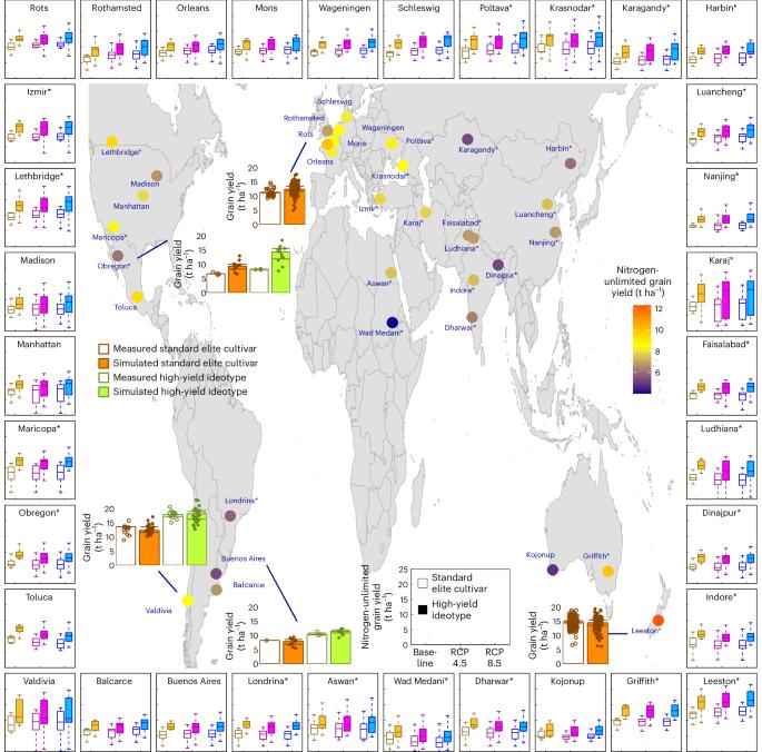 Global needs for nitrogen fertilizer to improve wheat yield under climate change