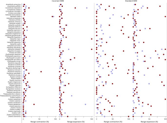 Misconception of model transferability precludes estimates of seagrass community reorganization in a changing climate