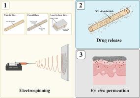 Advancing inflammatory skin disease therapy: Sustained tofacitinib release via electrospun fiber dressings