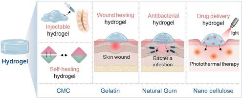 Biopolymer-based hydrogels for biomedical applications: Bioactivity and wound healing properties