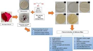 Investigations on the antioxidant and UV-blocking properties of biodegradable chitosan films enriched with MgO nanoparticles and red dragon fruit peel extract