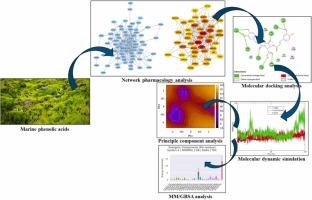 Comprehending the pharmacological mechanism of marine phenolic acids in bladder cancer therapy against matrix metalloproteinase 9 protein by integrated network pharmacology and in-silico approaches