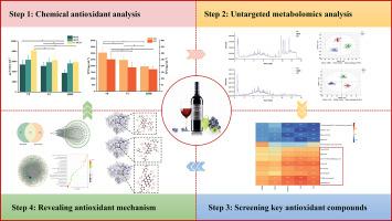 Revealing the key antioxidant compounds and potential action mechanisms of Chinese Cabernet Sauvignon red wines by integrating UHPLC-QTOF-MS-based untargeted metabolomics, network pharmacology and molecular docking approaches