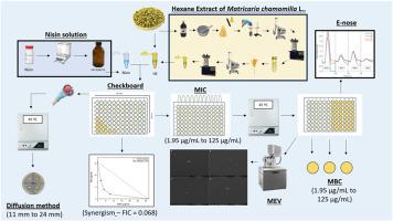 Comparative assessment of antibacterial activity of Matricaria chamomilla L. extract, nisin and of its combination against Alicyclobacillus spp.