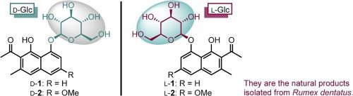 Total synthesis of nepodin and torachrysone glucosides: Evidence for naturally occurring l-glucosides