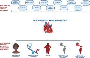 Diagnosis and management of peripartum cardiomyopathy and recurrence risk