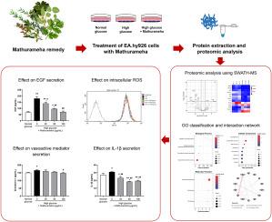 SWATH-proteomics reveals Mathurameha, a traditional anti-diabetic herbal formula, attenuates high glucose-induced endothelial dysfunction through the EGF/NO/IL-1β regulatory axis