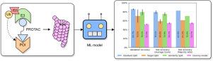 Modeling PROTAC degradation activity with machine learning