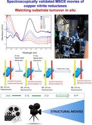 Spectroscopically Validated pH-dependent MSOX Movies Provide Detailed Mechanism of Copper Nitrite Reductases