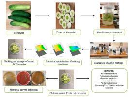 Investigating potential of edible coatings for microbial safety, quality and shelf life extension of fresh cut cucumbers: A statistical optimization approach