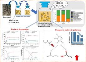 Insight into furfural-tolerant and hydrogen-producing microbial consortia: Mechanism of furfural tolerance and hydrogen production