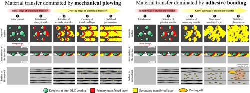 Initial and grow-up stages of material transfer on Arc-DLC coating in aluminum forming processes at high temperatures