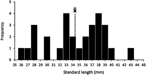 Destocking waterways: Evidence that stocked Murray Cod (Maccullochella peelii) were extracted at pumped irrigation diversions within 24 hours of release