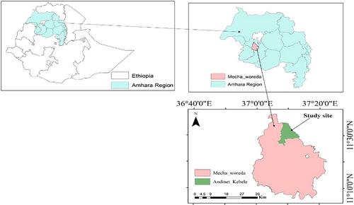 Effects of vermicompost and mineral fertilizers on soil properties, malt barley (Hordeum distichum L.) yield, and economic benefits