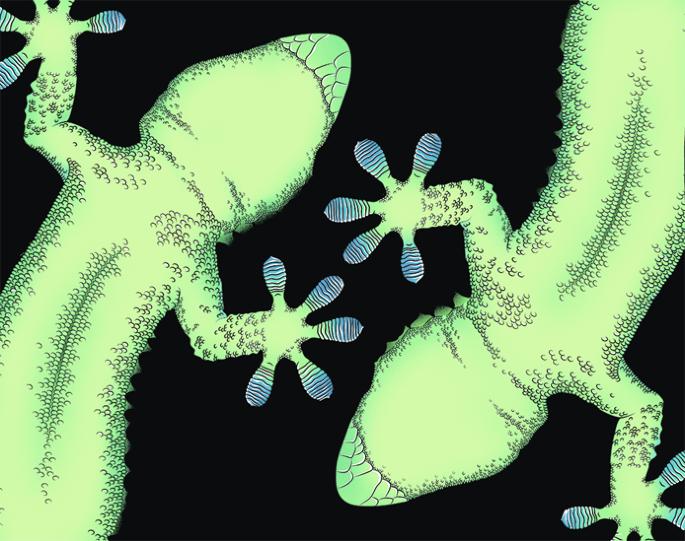 Polarized endoplasmic reticulum–plasma membrane contacts in cell migration