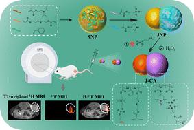 A polymeric 1H/19F dual-modal MRI contrast agent with a snowman-like Janus nanostructure†